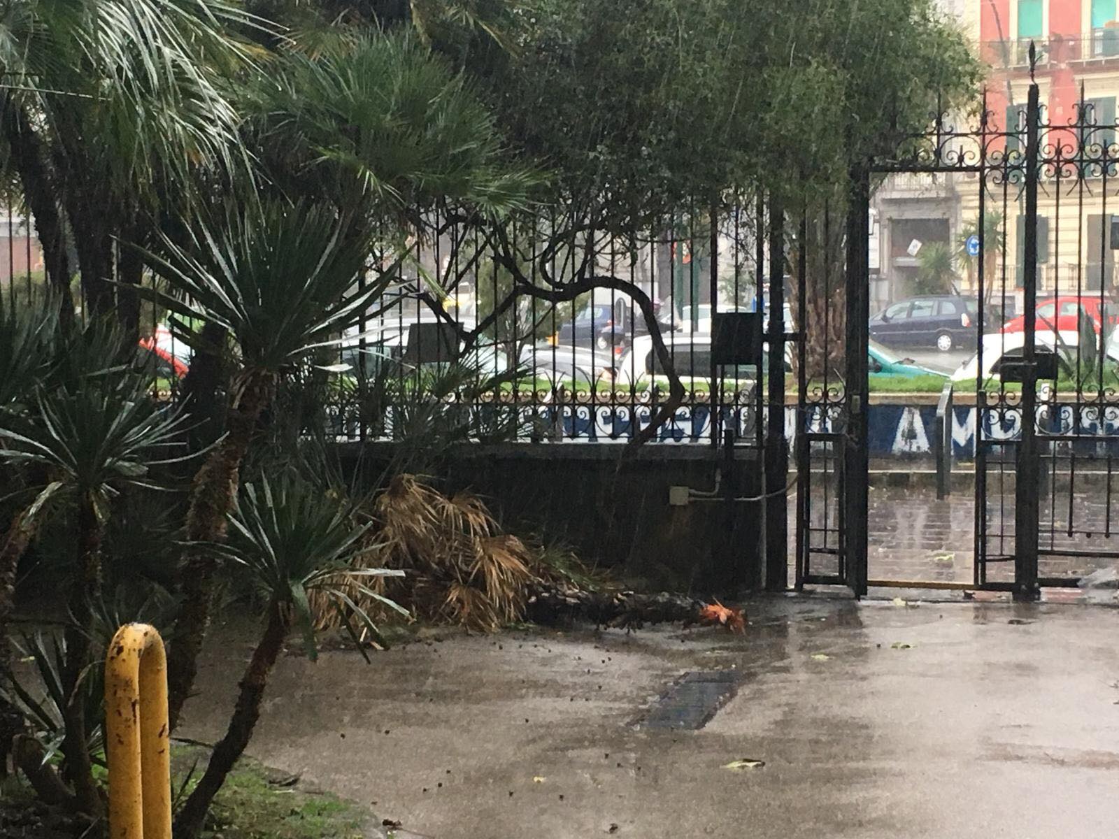 Pioggia e tempesta a Napoli, cadono alberi e tettoie: danni e feriti anche in provincia
