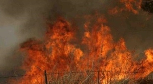 Incendi a Napoli, a fuoco anche il parco degli Astroni