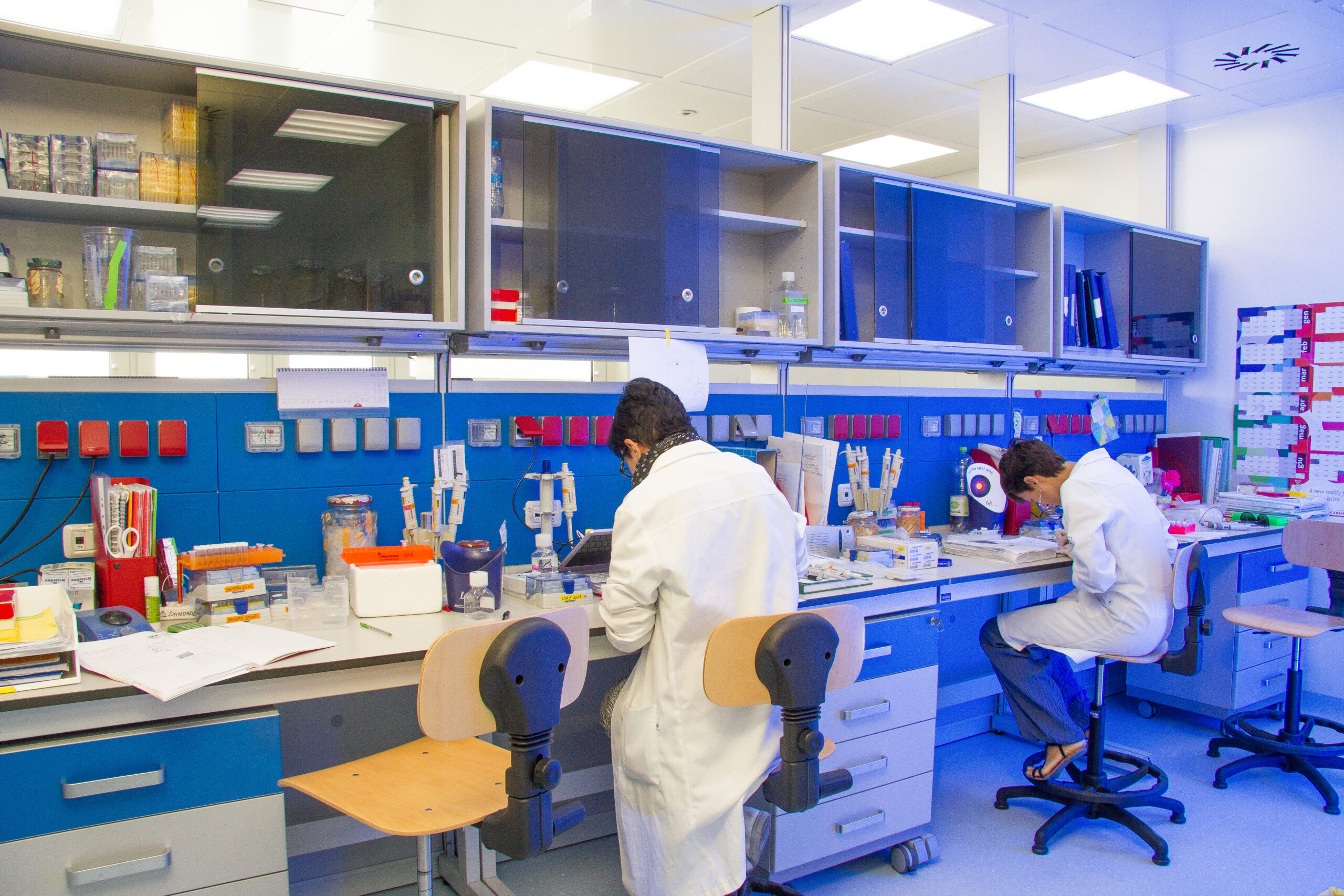 Tumori: scoperta a Napoli la molecola per bloccare i melanoma