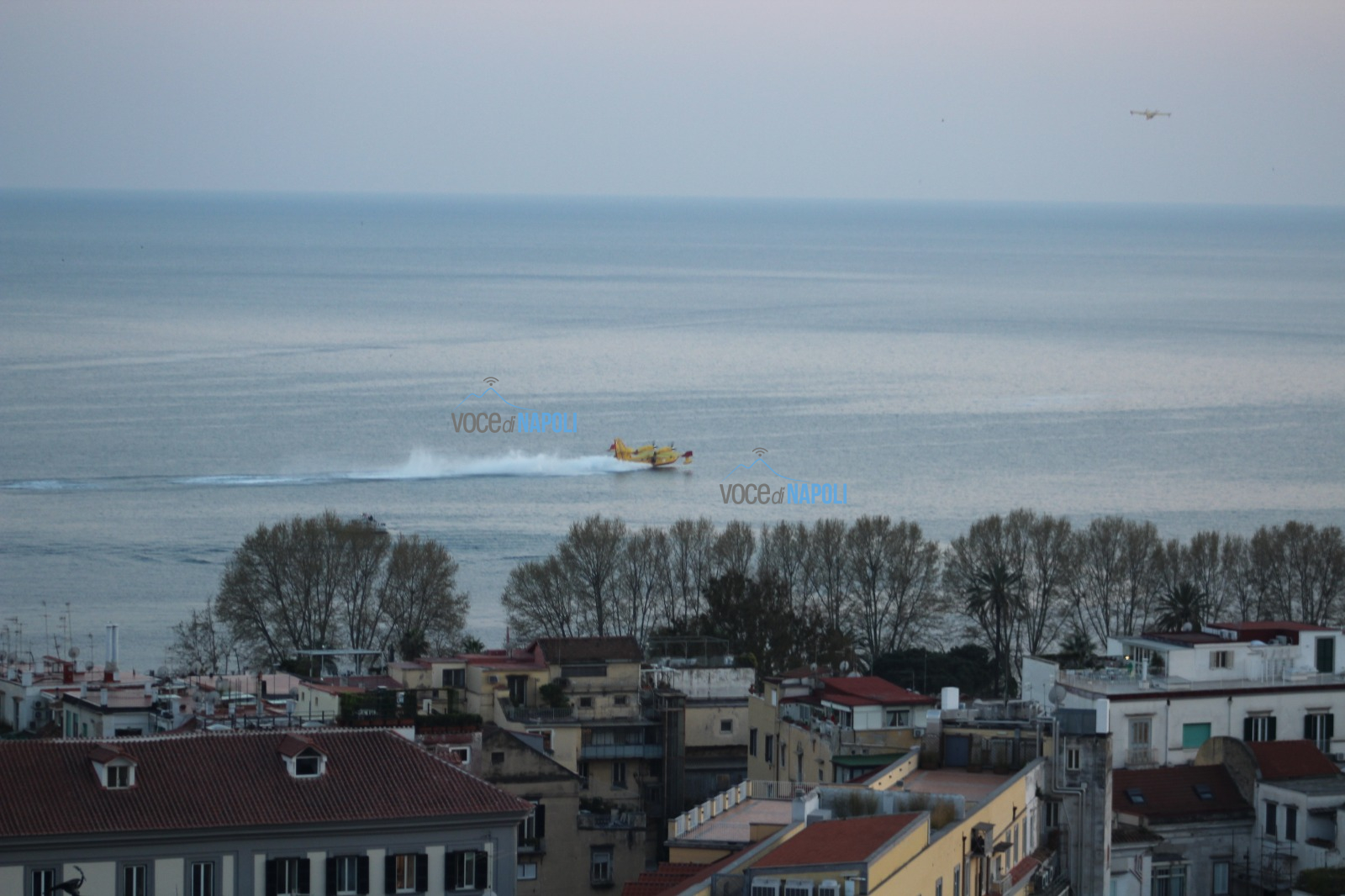 Napoli, in fiamme la collina dei Camaldoli: i residenti temono l'azione di un piromane
