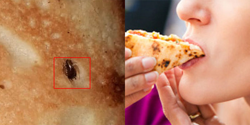 Compra una pizzetta e ci trova una blatta dentro Fate attenzione ai bambini