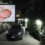 Orrore in Campania, trovato neonato morto e avvolto in un lenzuolo: era nascosto dietro una siepe