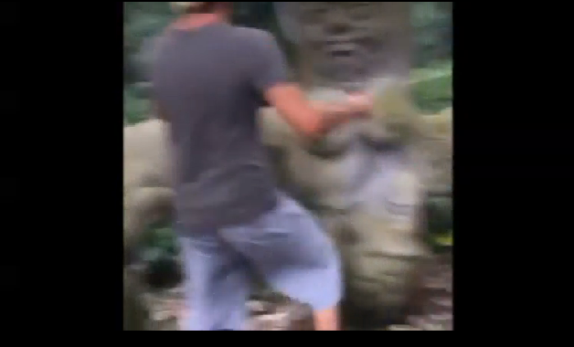 Noto imprenditore napoletano derubato in vacanza da una scimmia