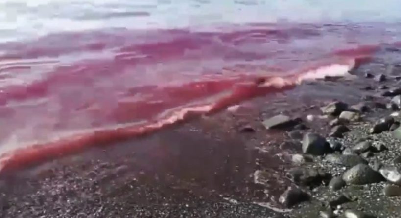San Giovanni, mare rosso e dall'odore nauseabondo: il video fa il giro del web