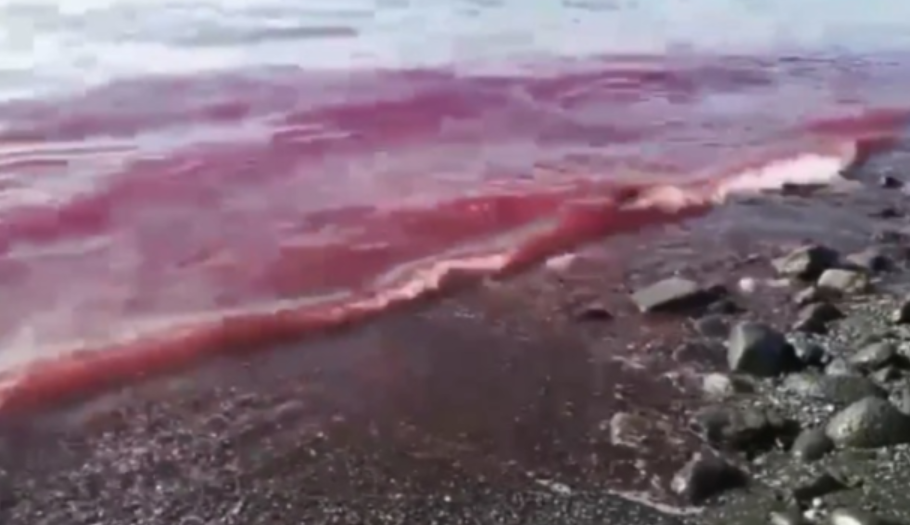 Il 'Mar Rosso' a San Giovanni, l'assessore: "Fenomeno inspiegabile"