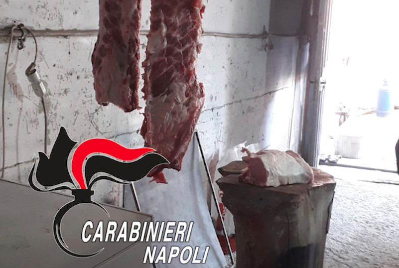 Marigliano, sequestrato locale abusivo dove veniva macellata la carne 