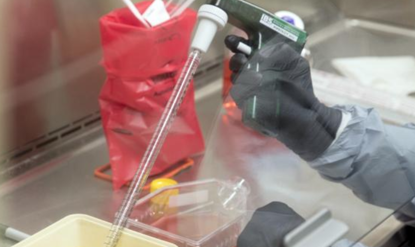 "Perdita dell'olfatto e attacco al sistema nervoso", il covid19 infetta il cervello: lo studio sui nuovi sintomi