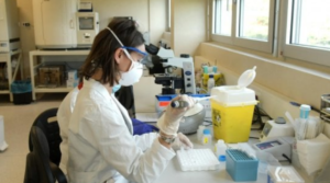 Coronavirus, Roche mette a punto test sierologico: "Aiuterà a capire chi ha sviluppato l'immunità"