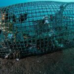 Blitz della Guardia Costiera a Baia, sequestrati lettini, ombrelloni e nasse illegali