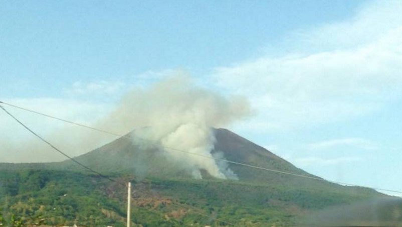 Parco del Vesuvio: fiamme nella pineta vicina