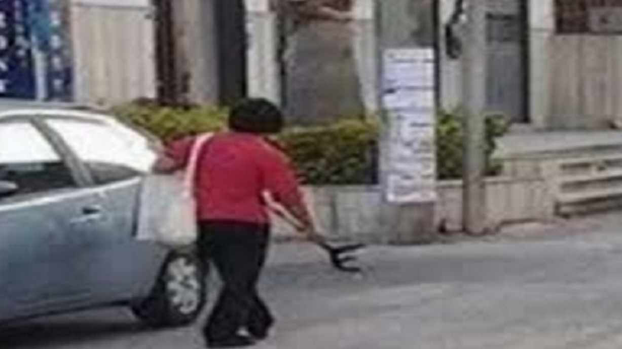 Aversa: Benedetta, il terrore dei bambini e dei passanti 