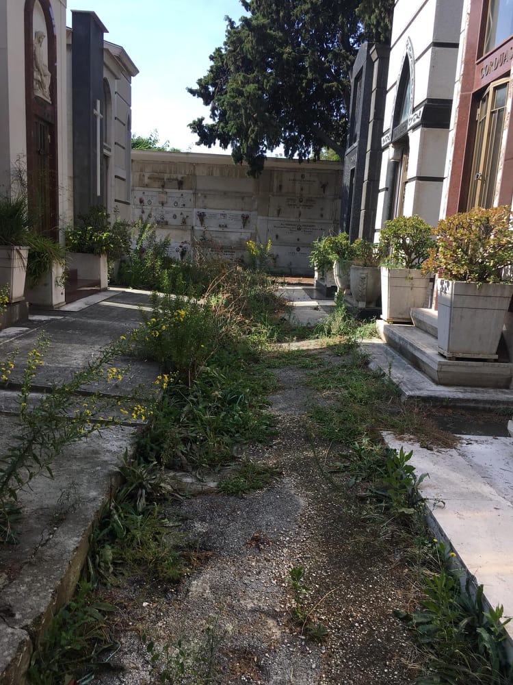 Il degrado del cimitero di Poggioreale, la denuncia di un cittadino