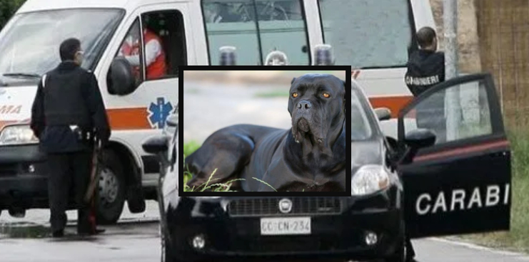 Poggia il bimbo sul prato e il cane lo sbrana, piccolo ucciso davanti alla mamma e alla nonna