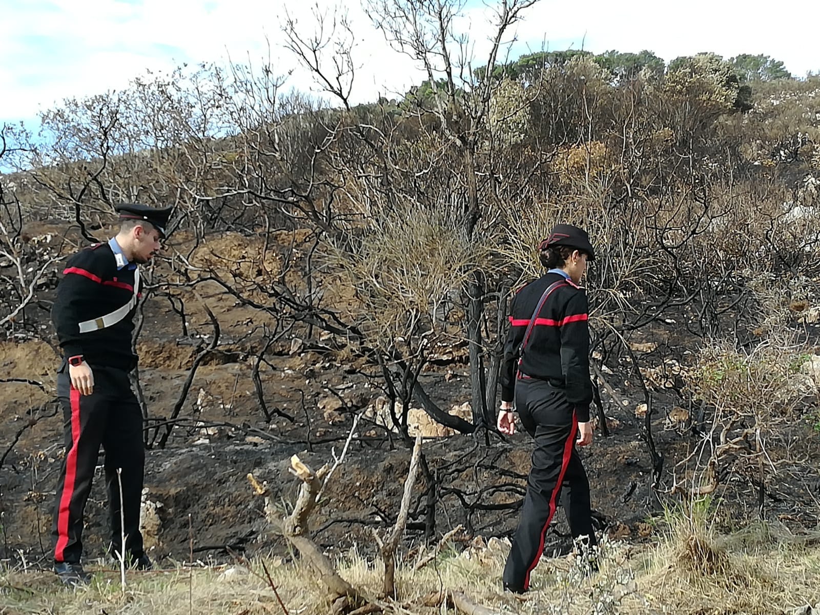 Capri, 15enne da fuoco a delle foglie e provoca un incendio: l'intervento dei carabinieri