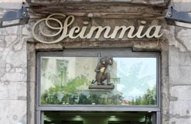 Chiude la 'Scimmia', storica gelateria di Napoli : "Una sconfitta"