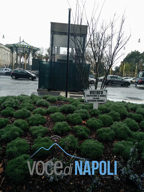  Per non parlare della grafica usata che fa somigliare gli avvisi a dei manifesti funebri. 