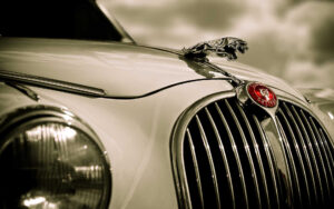 jaguar-car-logo-images-hd-jaguar-wallpaper-13-dflogo