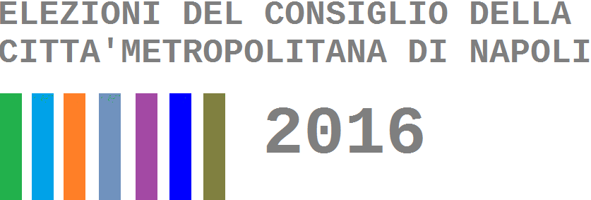 Napoli, elezioni: come si vota per la Città Metropolitana spiegato bene
