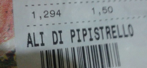 Ali di pipistrello