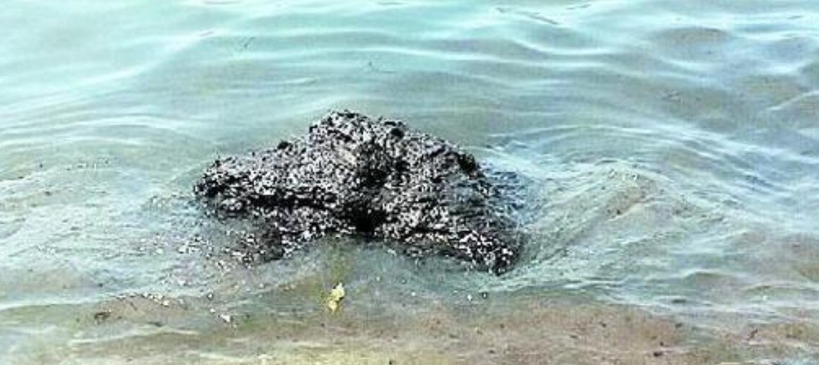 palla di escrementi casal velino