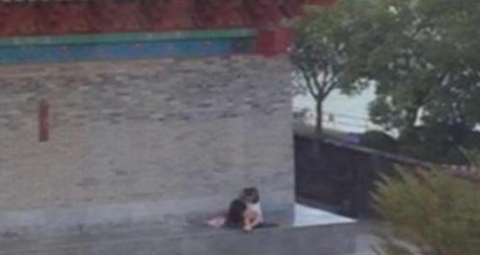 cinesi-rapporti-intimi-in-pubblico