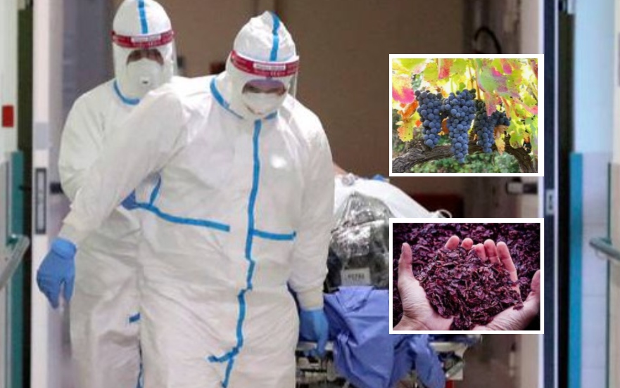 Covid, parte a Napoli una nuova sperimentazione: la 'cura del vino'