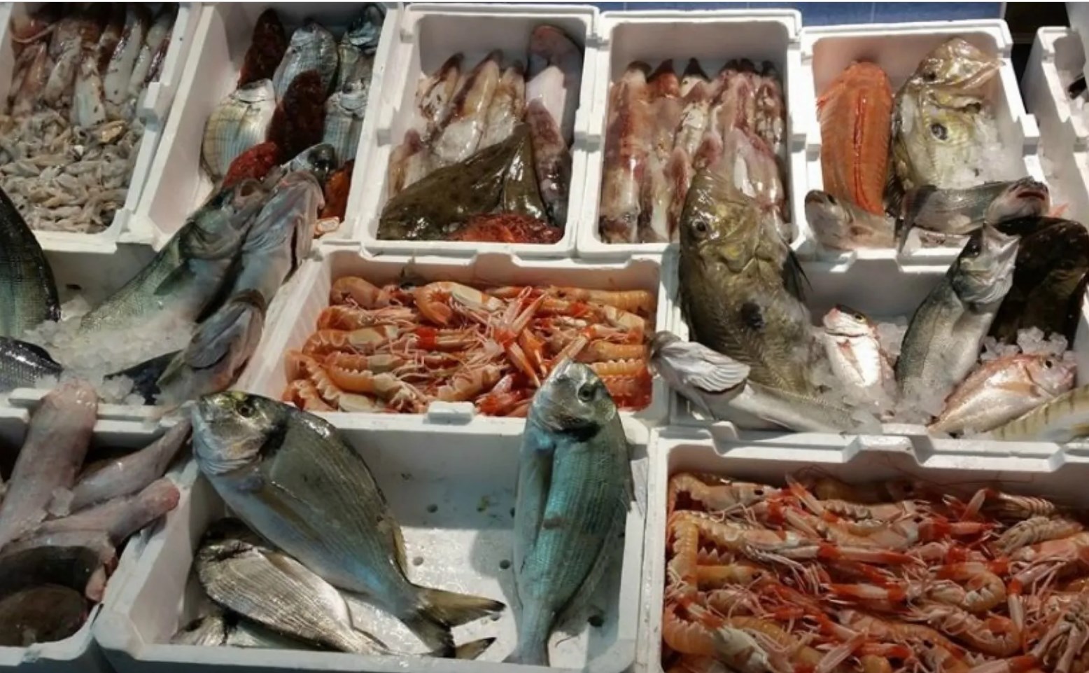 Imprenditore minacciato e picchiato