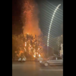 incendio villa comunale napoli