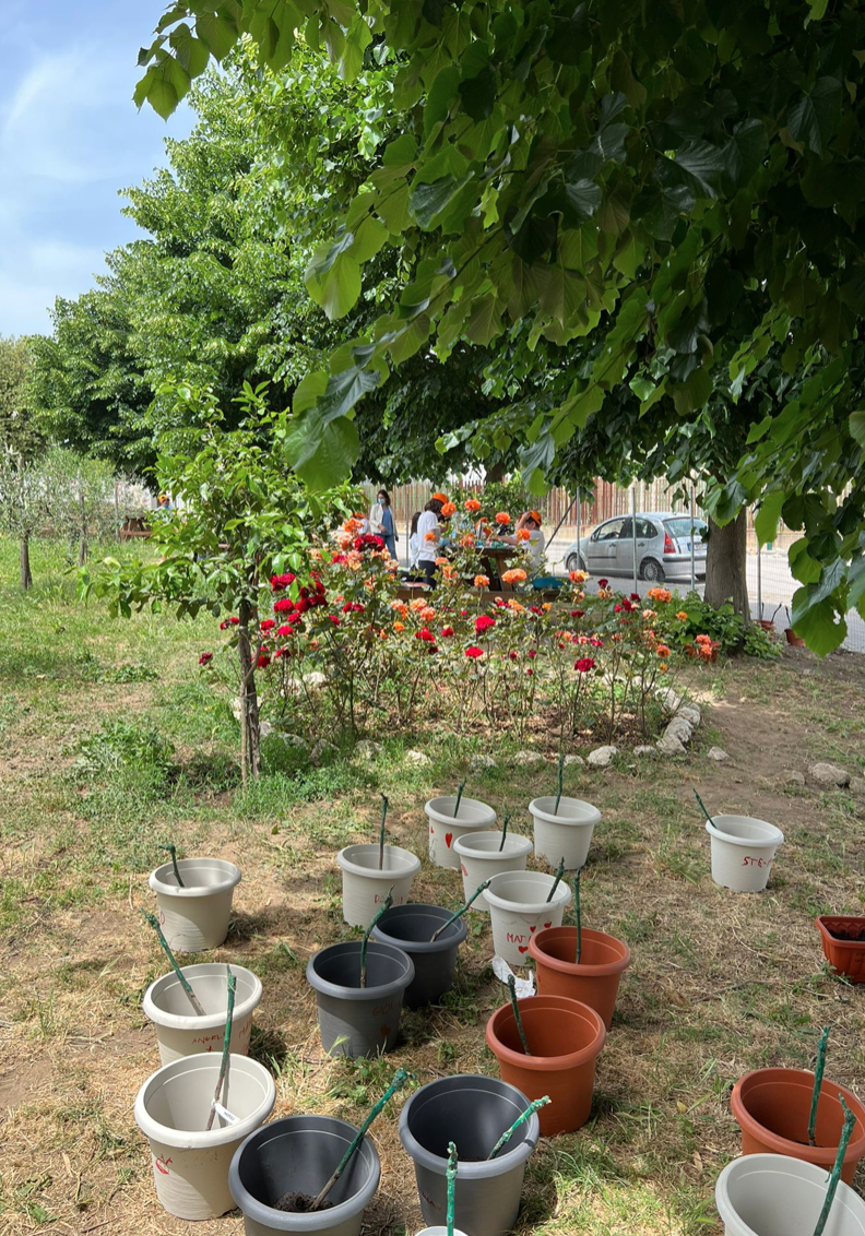 Radici Vive progetto didattico