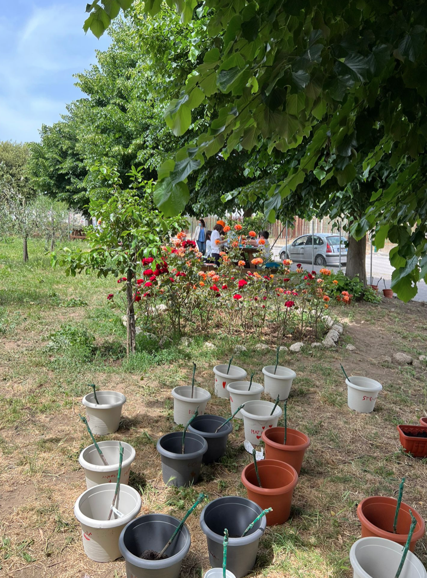 Radici Vive progetto didattico