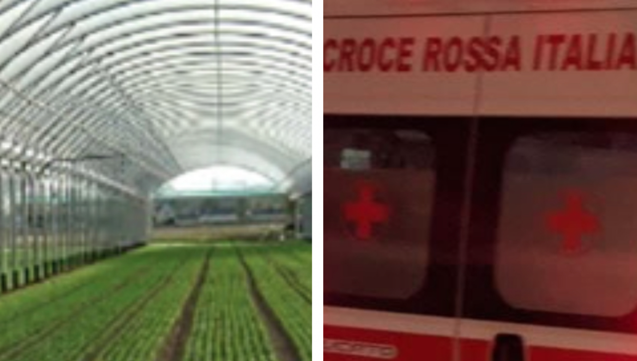 Ventenne muore in serra