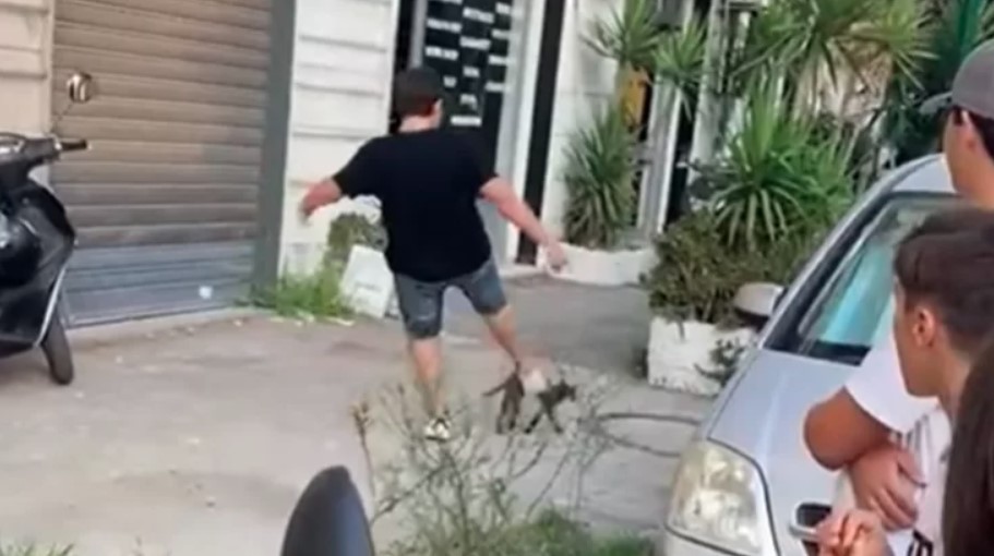 Orrore a Casoria, ragazzo prende a calci un gattino poi pubblica il video: l'ira sui social