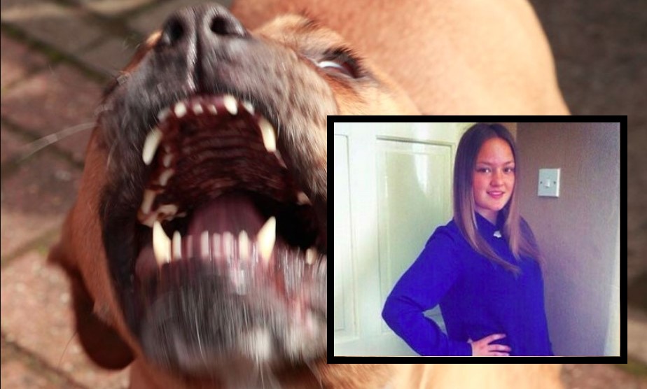 Dramma in casa, ragazza di 25 anni muore nel sonno sbranata dal cane di un familiare