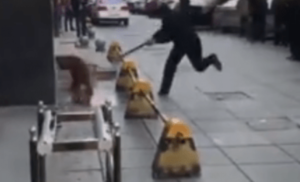 La madre di Luana racconta cosa era già accaduto prima della morte della figlia  La giovane mamma è morta sul lavoro