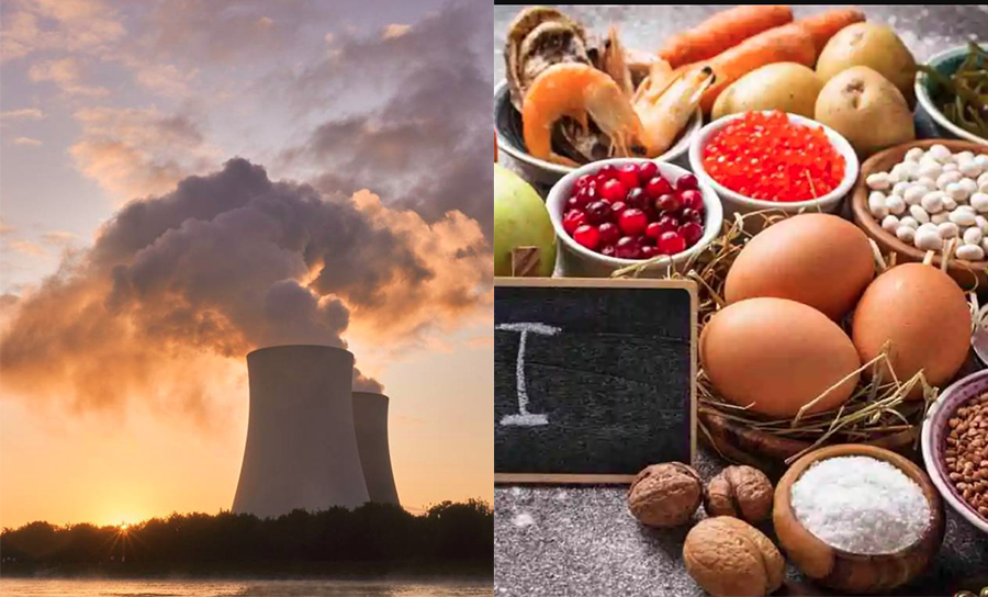 iodio alimenti radiazioni